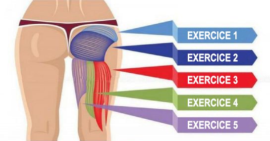 5 Effective exercises that will develop your glutes, improve your posture and burn fat