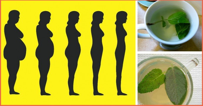 10 best plants to lose belly fat, eliminate toxins and boost metabolism