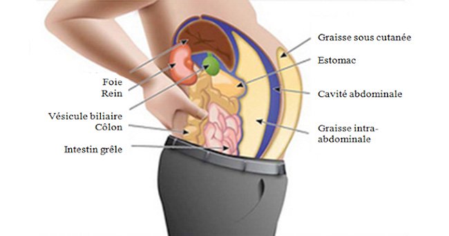 The toxins stored in the fat cells make you fat and swell. Here's how to eliminate them