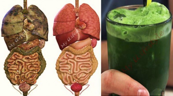 Super green juice that removes all the toxins and fats from your body
