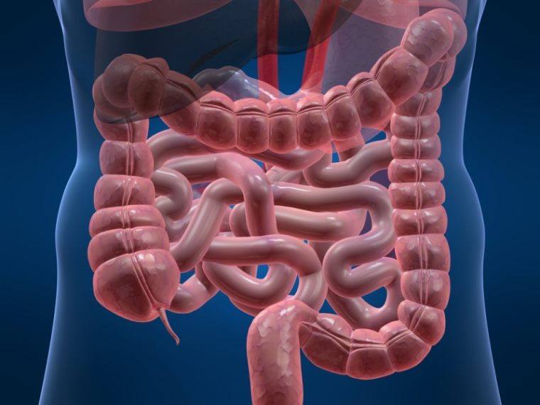 Here are 5 good reasons why you need to clean your colon