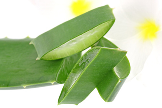 Remove extra pounds with aloe vera
