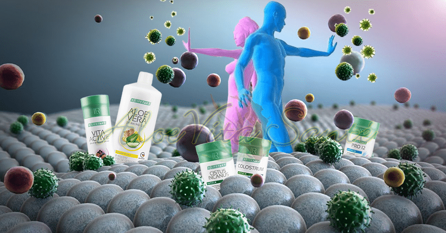 Natural solutions to boost your immune system