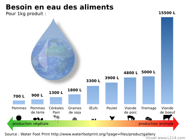 eau-aliments