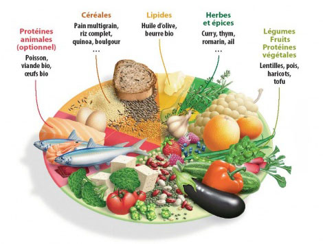 quels-sont-les-aliments-qui-font-maigrir-du-ventre