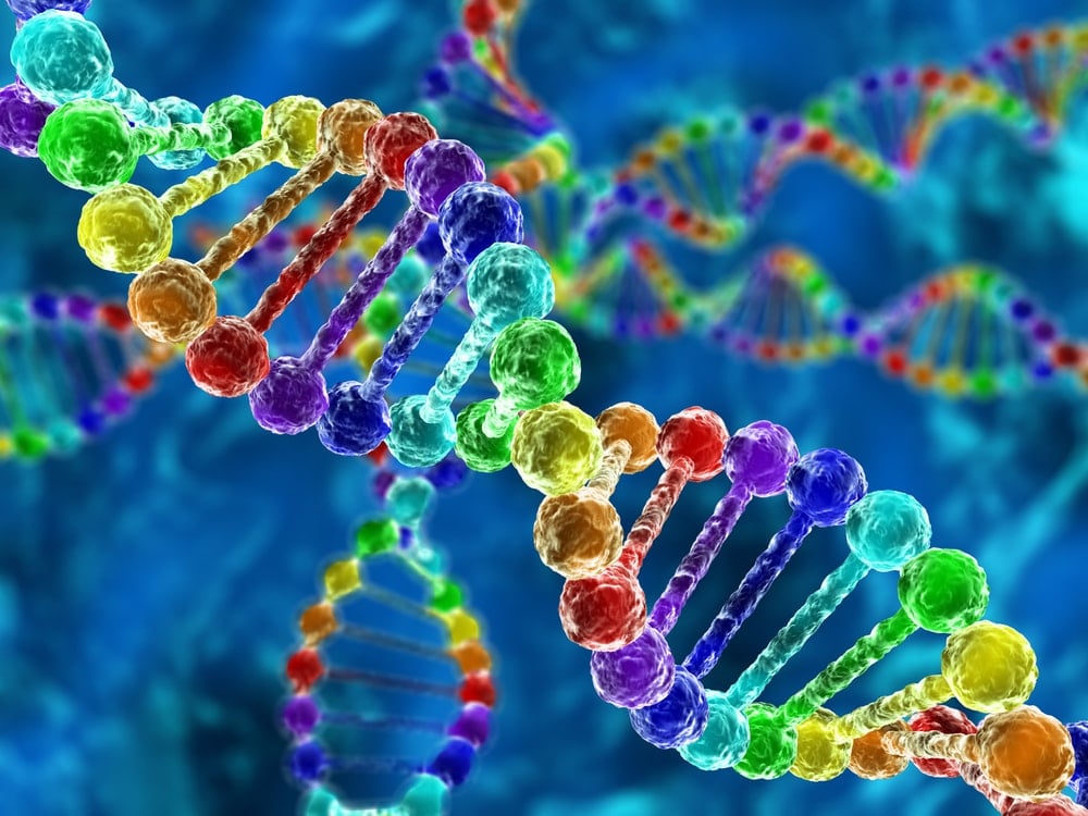 Un acide aminé plus efficace que n'importe quelle pilule miracle